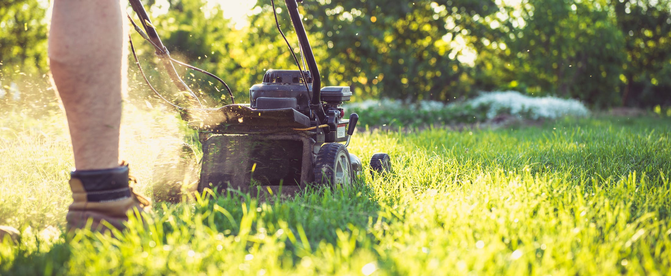 Professional Landscape Contractor